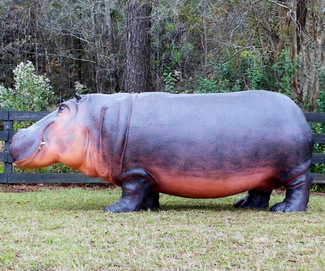 Life-Size Hippo