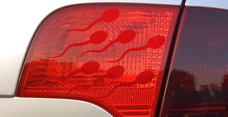 Sperm Brake Light Stickers