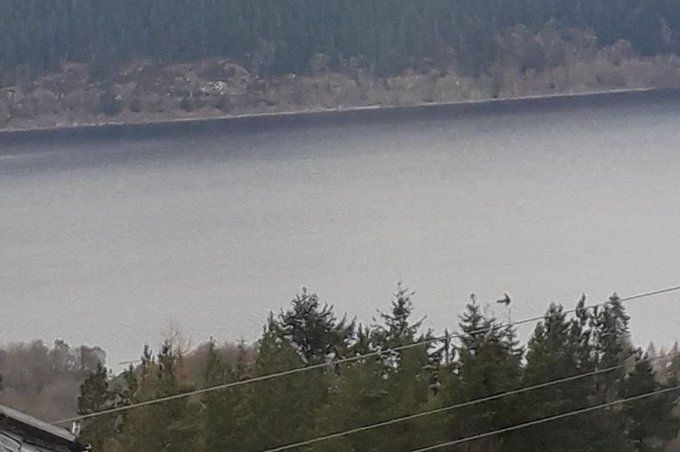Man Claims to Have Photographed Loch Ness Monster