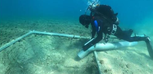 7,000-Year-Old Road Reveals Secrets of Ancient Croatian Civilization