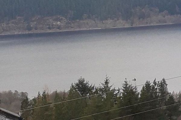 Man Claims to Have Photographed Loch Ness Monster